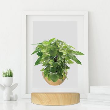 Mini-Jardin En Levitation Bois Clair