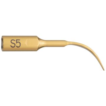 Insert S5