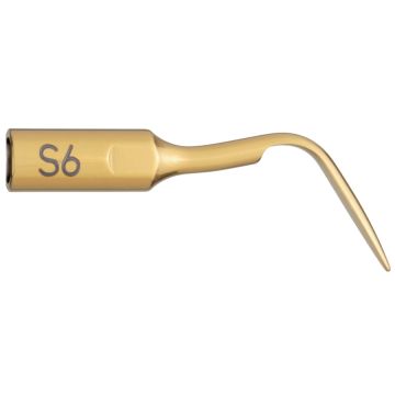 Insert S6