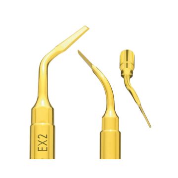 Insert Piezosurgery Extraction Ex2