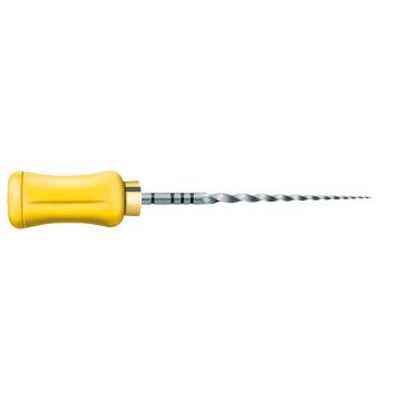 Protaper Ste. Limes Man Finishing