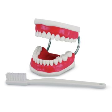 Modele De Demonstration Hager&Werken