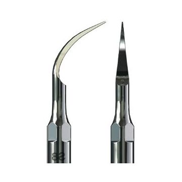 INSERT DE DETARTRAGE KENT DENTAL