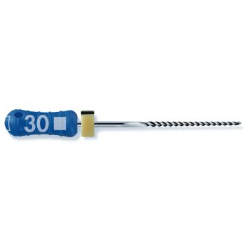 Limes K-Files Ready Steel (6) - DENTSPLY MAILLEFER - LIMES K READY STEEL - MAILLEFER INSTRUMENTS