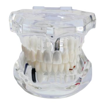 MODELE COMPLET MEDICAL DENTAL PACIFIC
