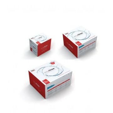 Aiguilles Prorinse (40) 30G - 0,30Mm