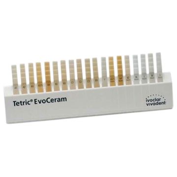 Tetric Evoceram Teintier