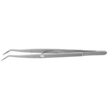 Precelle Meriam Dp18Lhu Friedy