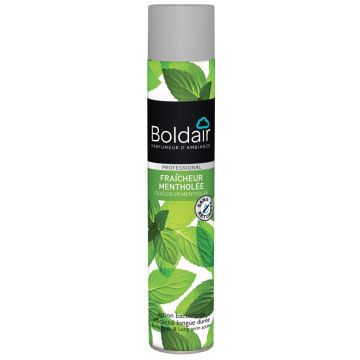 BOLDAIR PARFUMES AEROSOL