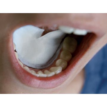 DRYDENT SUBLINGUAL LARGE