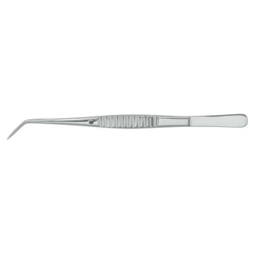 Precelle College Dental Pacific