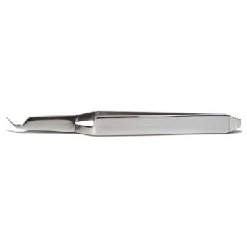 Precelle Avec Bracket Aligner