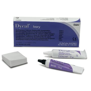 Dycal Coffret Pate + Catalyseur